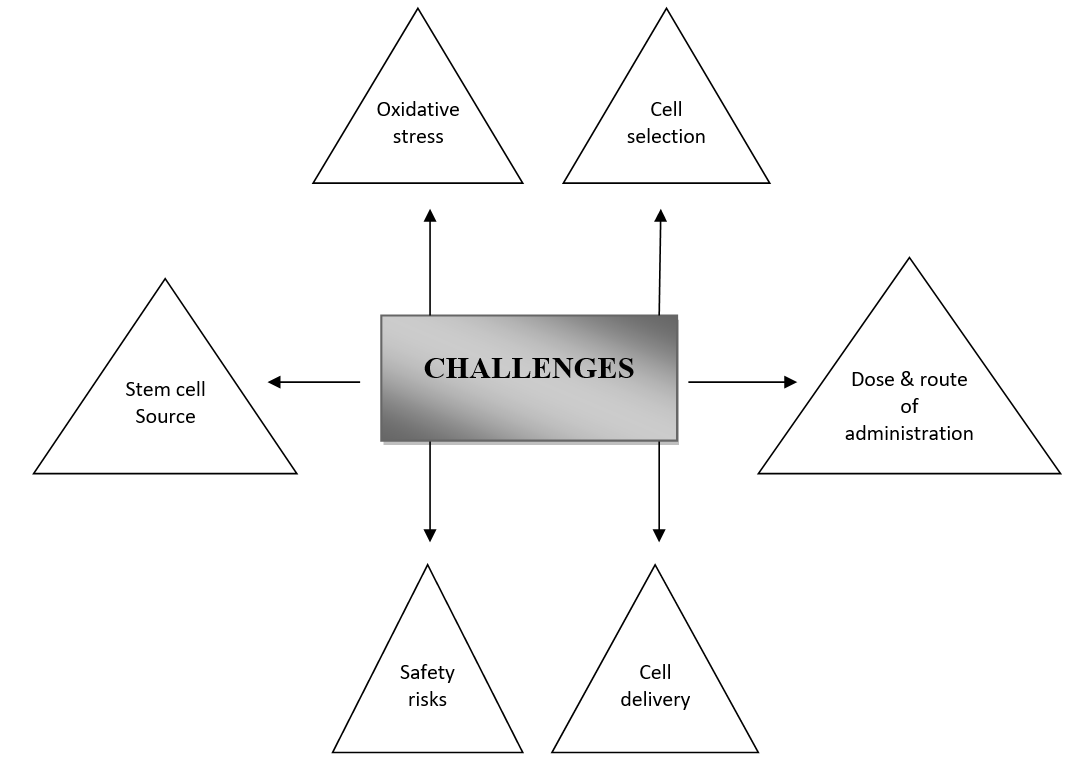 圖2:干細胞治療糖尿病腎病過程中的挑戰 圖2:干細胞治療糖尿病腎病過程中的挑戰