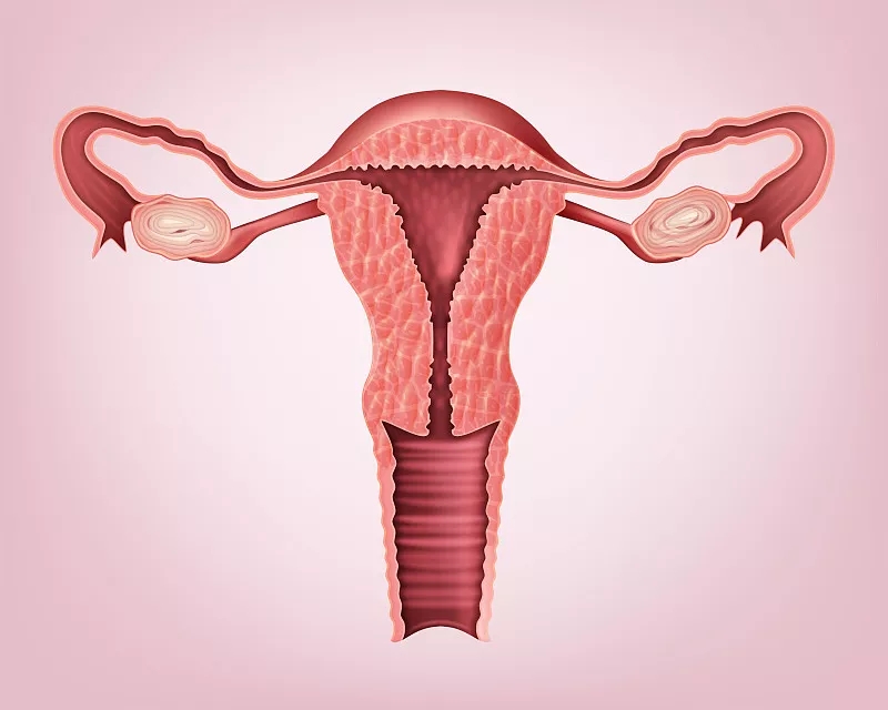 廣州醫科大學第三附屬醫院:干細胞移植治療卵巢早衰的臨床分析