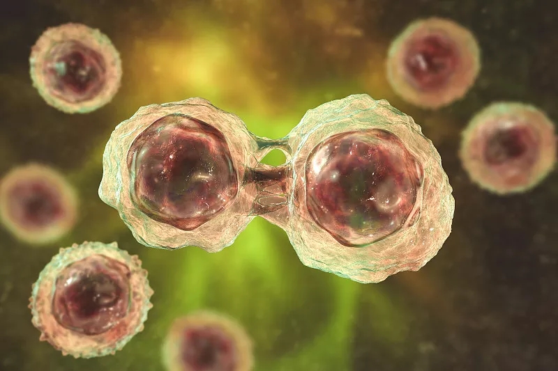 間充質干細胞治療疾病的作用機制 間充質干細胞治療疾病的作用機制