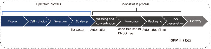 圖1：治療性細(xì)胞制造加工的工作流程。