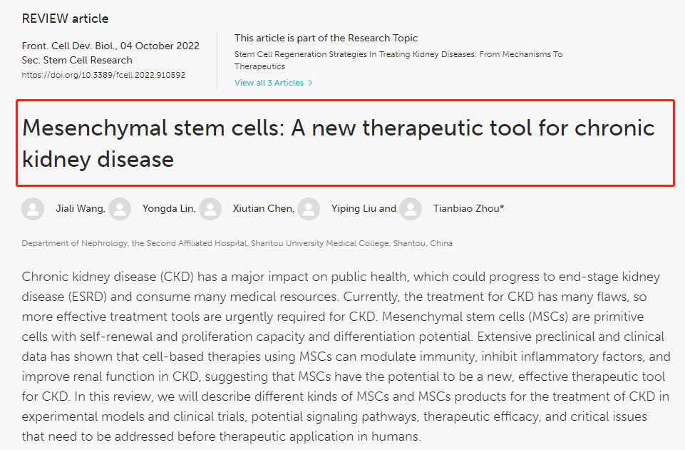 間充質(zhì)干細胞治療慢性腎病的文獻綜述 間充質(zhì)干細胞治療慢性腎病的文獻綜述