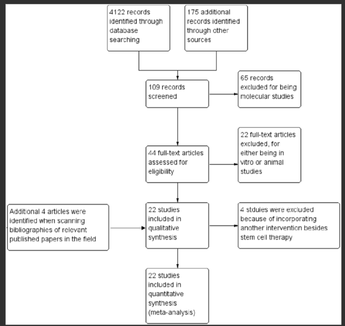 圖1.顯示記錄識別、篩選和研究納入過程的流程圖。