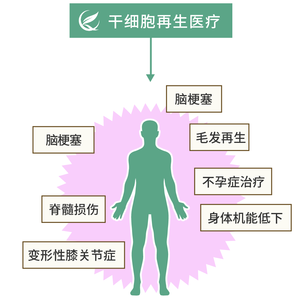 干細胞可以治療哪些疾病? 干細胞可以治療哪些疾病?