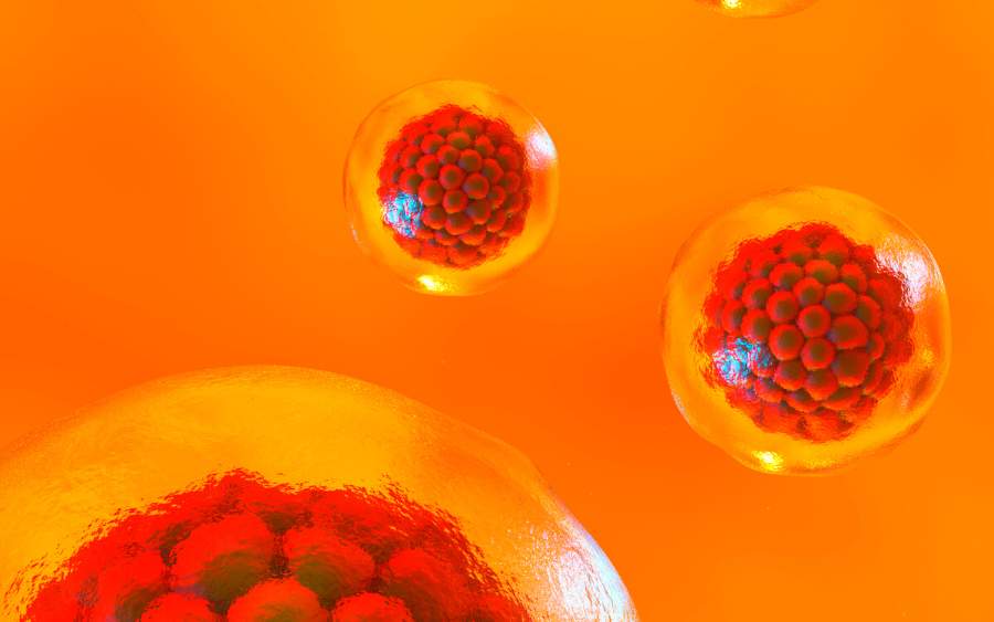 干細胞療法能持續多久? 干細胞療法能持續多久?