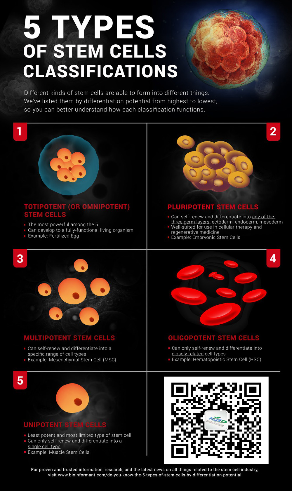 不同類型的干細胞-|--你知道5種干細胞嗎 不同類型的干細胞 | 你知道5種干細胞嗎