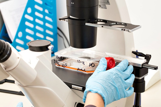 什么是干細(xì)胞?關(guān)于一系列干細(xì)胞的簡短知識(shí) 什么是干細(xì)胞?關(guān)于一系列干細(xì)胞的簡短知識(shí)