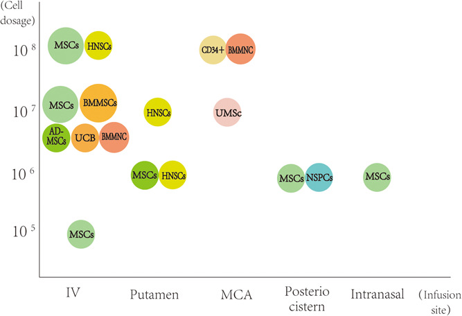 圖1:臨床試驗中細胞類型、劑量和輸注部位之間關(guān)系的可視化 圖1:臨床試驗中細胞類型、劑量和輸注部位之間關(guān)系的可視化