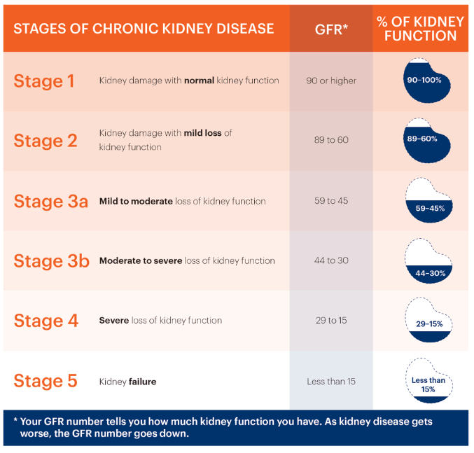 慢性腎病的階段、腎臟慢性腎病治療、腎衰竭治療費用