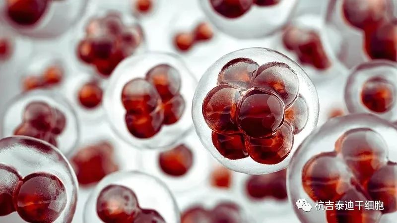 手足徐動性腦癱的最新治療方法是什么？