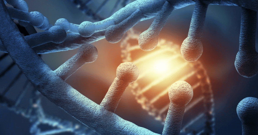 干細胞治療的10大好處 干細胞治療的10大好處