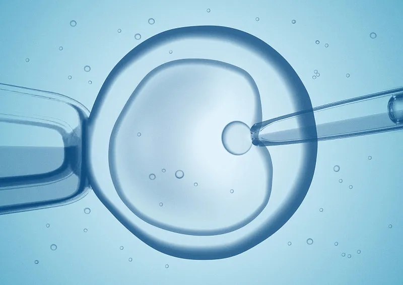 干細(xì)胞移植作為中國人群肝硬化的輔助治療策略-:有效性和安全性的薈萃分析 干細(xì)胞移植作為中國人群肝硬化的輔助治療策略-:有效性和安全性的薈萃分析