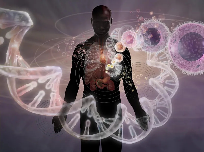 干細(xì)胞療法治療急性和慢性創(chuàng)傷性腦損傷的臨床研究回顧 干細(xì)胞療法治療急性和慢性創(chuàng)傷性腦損傷的臨床研究回顧