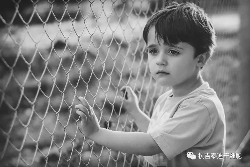 贛南醫(yī)科大學:干細胞治療自閉癥兒童的療效和安全性分析 贛南醫(yī)科大學:干細胞治療自閉癥兒童的療效和安全性分析