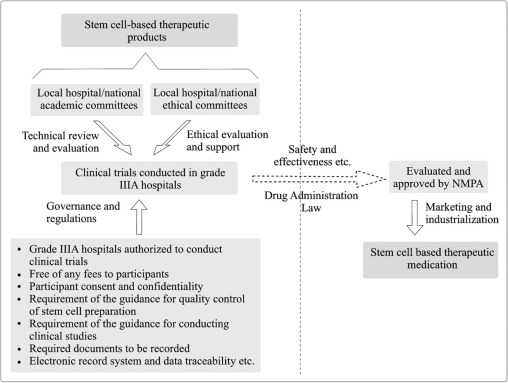 圖1。雙軌制監(jiān)管體制運(yùn)行模式