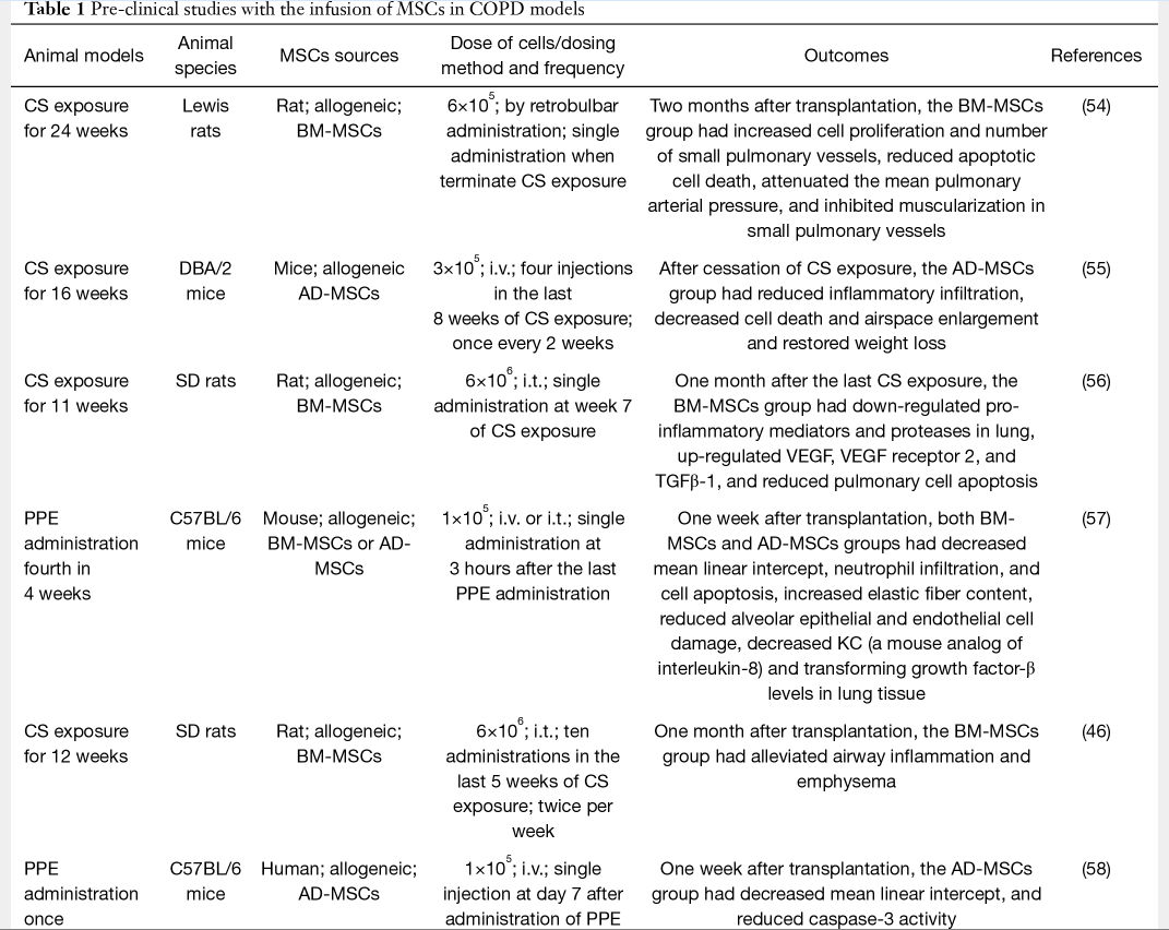 表1：在COPD模型中輸注間充質干細胞的臨床前研究