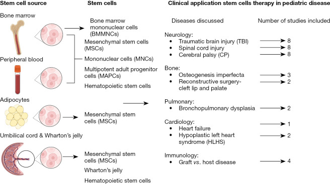 圖1：干細(xì)胞的來(lái)源和干細(xì)胞治療的臨床應(yīng)用。