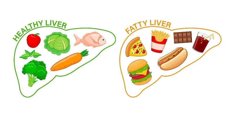 如何才能讓我的肝臟恢復健康？