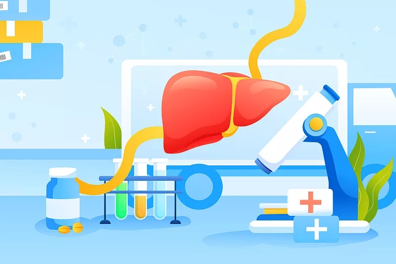 全面了解干細(xì)胞治療肝病的臨床應(yīng)用潛力