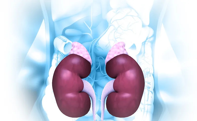 慢性腎衰竭的癥狀-病因-診斷-治療-預防 慢性腎衰竭的癥狀-病因-診斷-治療-預防