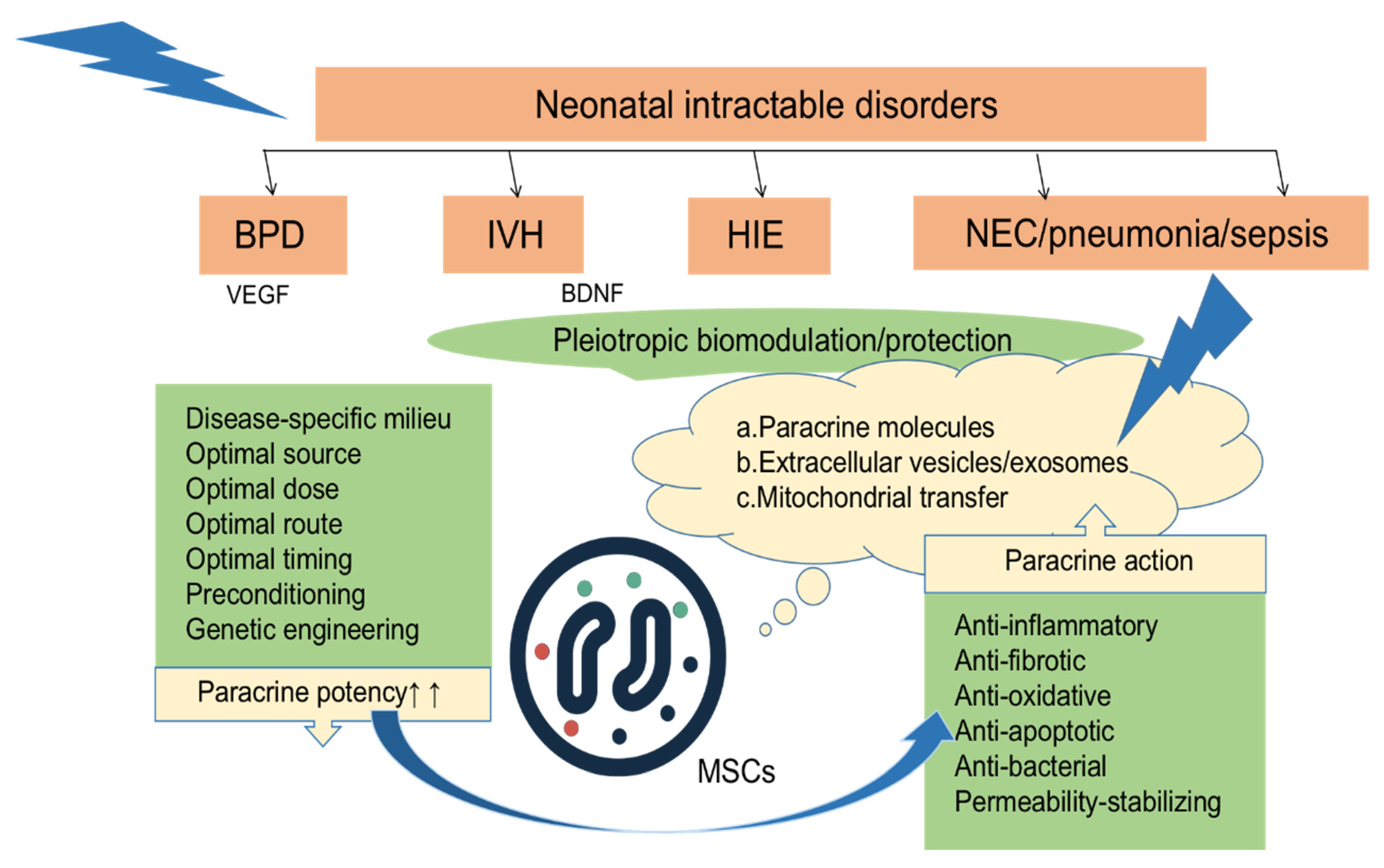 圖2:MSCs局部或全身移植到各種組織損傷部位后,通過分泌多種因子發(fā)揮抗炎、抗纖維化、抗氧化、抗凋亡、抗菌、穩(wěn)定通透性等旁分泌作用。 圖2:MSCs局部或全身移植到各種組織損傷部位后,通過分泌多種因子發(fā)揮抗炎、抗纖維化、抗氧化、抗凋亡、抗菌、穩(wěn)定通透性等旁分泌作用。