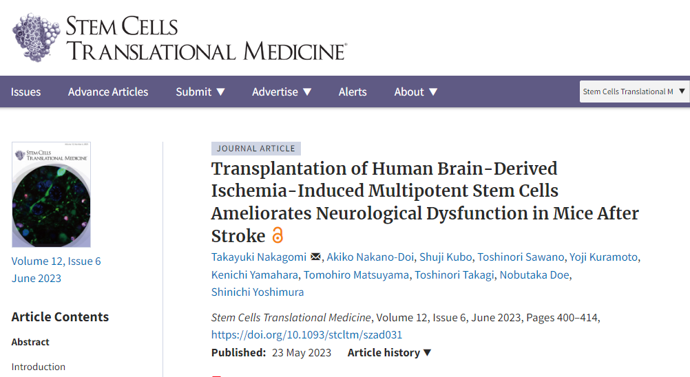 《干細胞轉換醫學》:移植人多能干細胞可改善中風后小鼠的神經功能障礙 《干細胞轉換醫學》:移植人多能干細胞可改善中風后小鼠的神經功能障礙