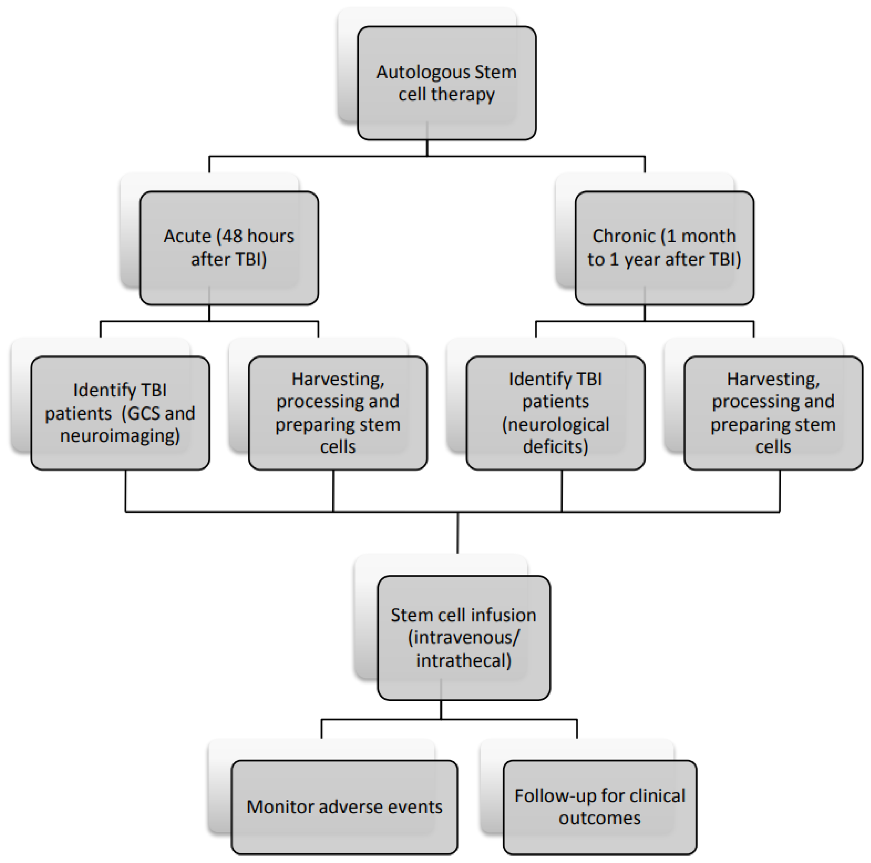 圖3:間充質(zhì)干細(xì)胞治療腦損傷患者的流程圖。 圖3:間充質(zhì)干細(xì)胞治療腦損傷患者的流程圖。