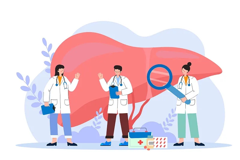 間充質干細胞治療肝病的新視角:恢復線粒體功能 間充質干細胞治療肝病的新視角:恢復線粒體功能