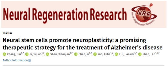 通過移植神經干細胞來改善阿爾茨海默病小鼠的認知缺陷和海馬突觸的丟失 通過移植神經干細胞來改善阿爾茨海默病小鼠的認知缺陷和海馬突觸的丟失
