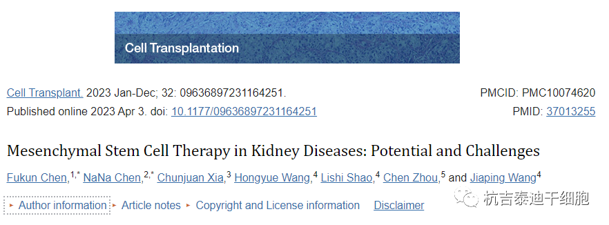 細胞移植:間充質干細胞治療腎臟疾病的潛力和挑戰 細胞移植:間充質干細胞治療腎臟疾病的潛力和挑戰