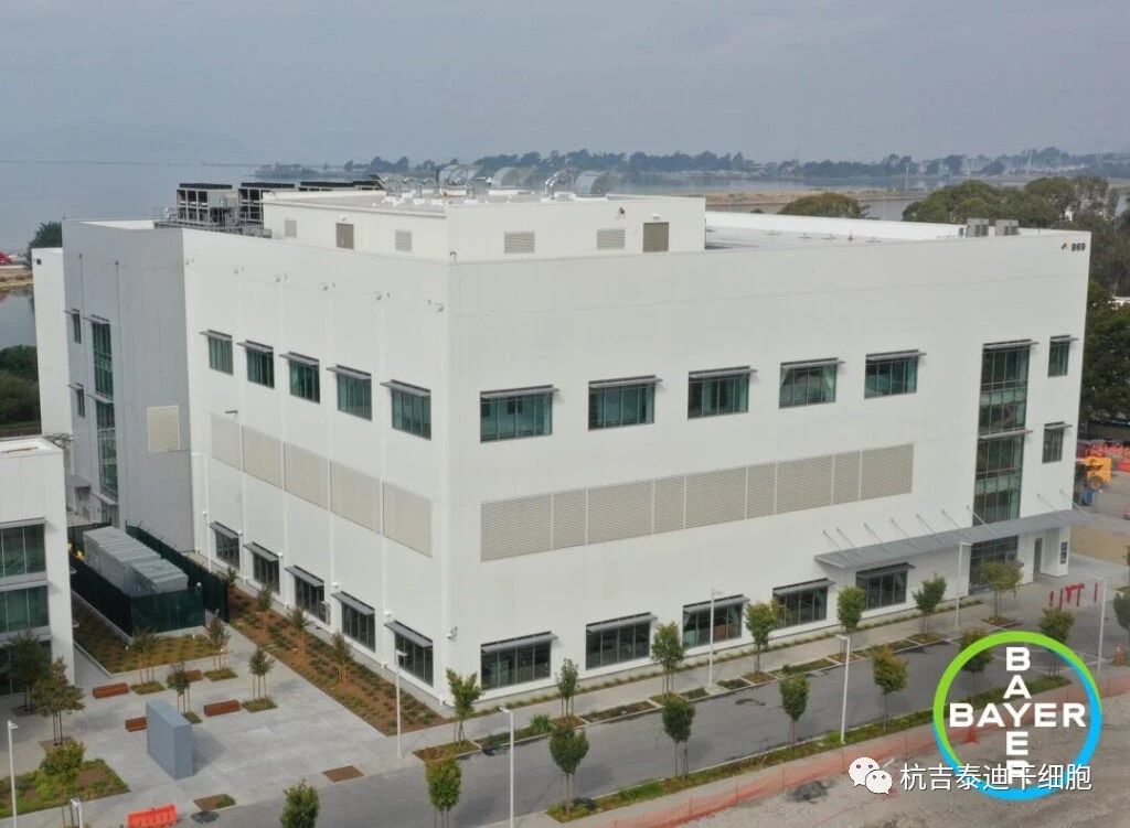 投資2.5億美元！拜耳新建細胞治療工廠，推進細胞療法生產！