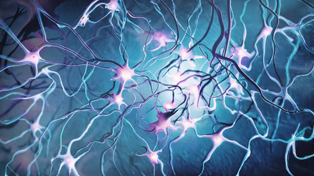 神經干細胞常見問題解答 神經干細胞常見問題解答