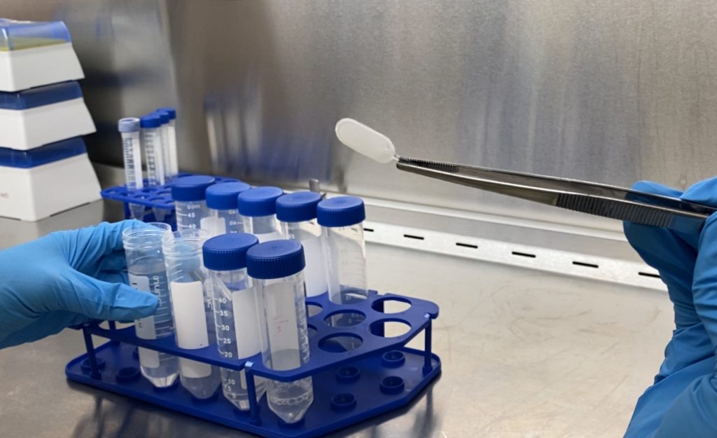 基于干細(xì)胞的療法為1型糖尿病患者制造胰島素 基于干細(xì)胞的療法為1型糖尿病患者制造胰島素