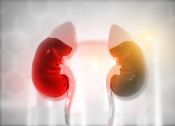 間充質干細胞治療急性腎損傷的潛在優勢 間充質干細胞治療急性腎損傷的潛在優勢