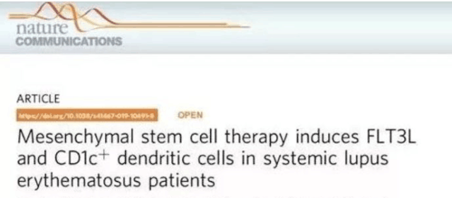 間充質干細胞治療誘導系統性紅斑狼瘡患者FLT3L和CD1c+樹突狀細胞 間充質干細胞治療誘導系統性紅斑狼瘡患者FLT3L和CD1c+樹突狀細胞
