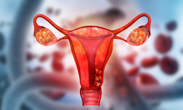 支持生物療法治療卵巢早衰：證據是什么？