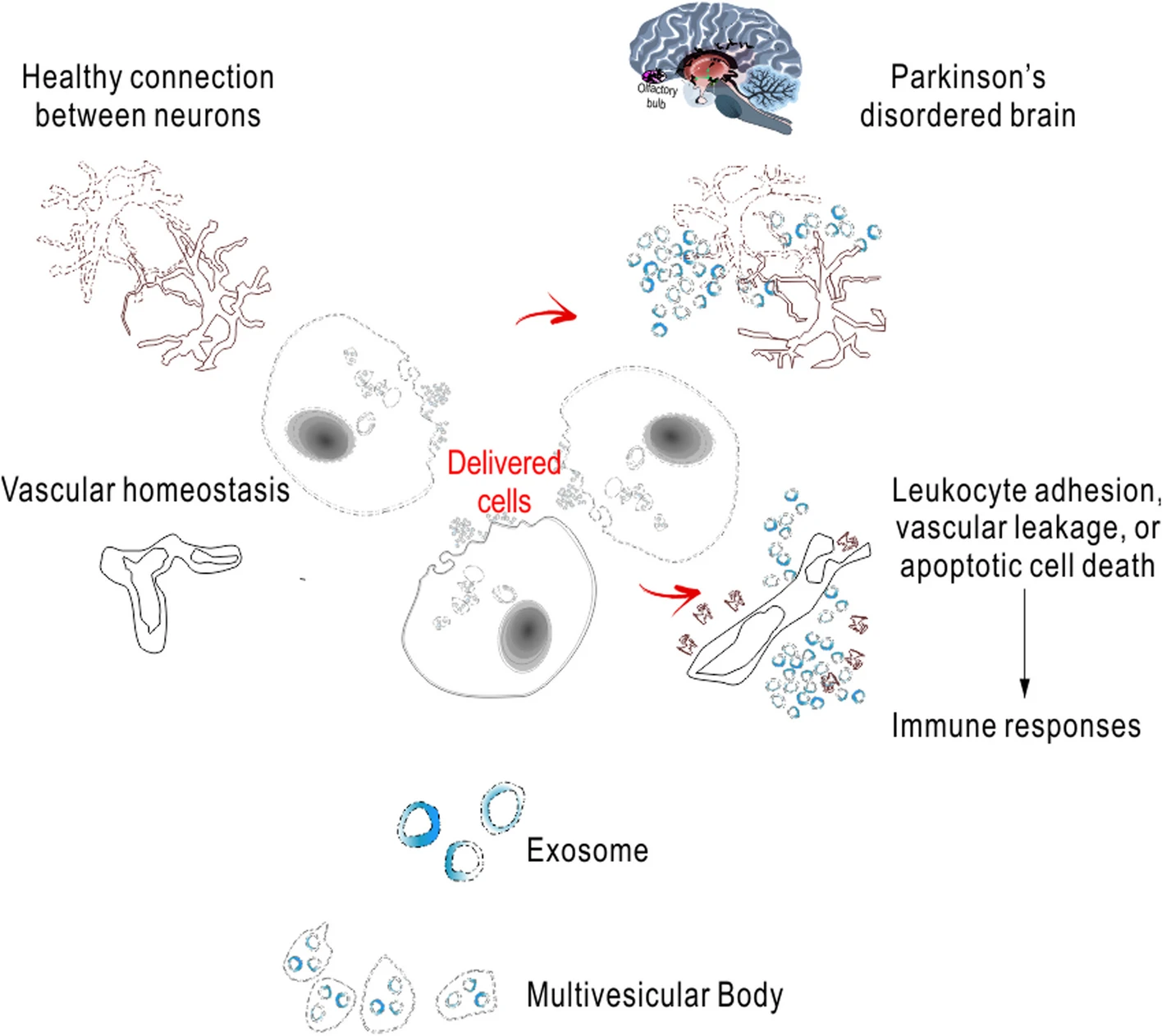 圖3:生物治療疾病改變療法 圖3:生物治療疾病改變療法