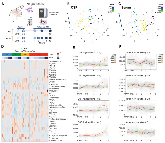 初步的試驗結果顯示,大多數參與者在治療后表現出一定程度的神經功能改善。 初步的試驗結果顯示,大多數參與者在治療后表現出一定程度的神經功能改善。