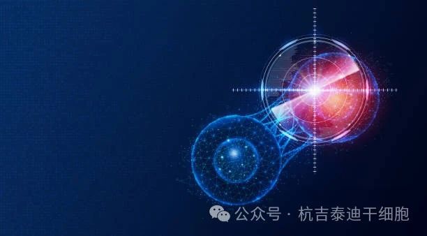 盤點2023干細胞療法五大突破性進展,沖破難治性疾病壁壘 盤點2023干細胞療法五大突破性進展,沖破難治性疾病壁壘