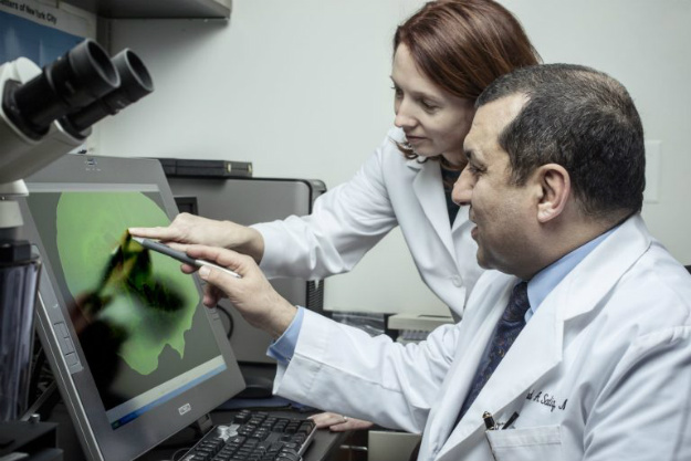 MS 的干細(xì)胞 – Sadiq 博士和 Tisch MSRCNY 的 Violaine Harris 博士 MS 的干細(xì)胞 – Sadiq 博士和 Tisch MSRCNY 的 Violaine Harris 博士