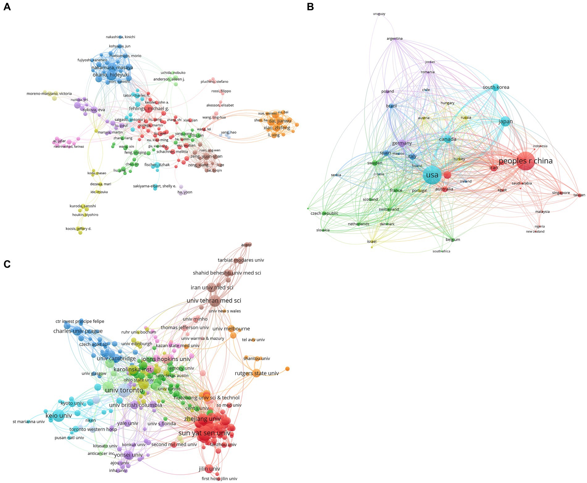 圖4：干細胞治療脊髓損傷研究的合著者分析。