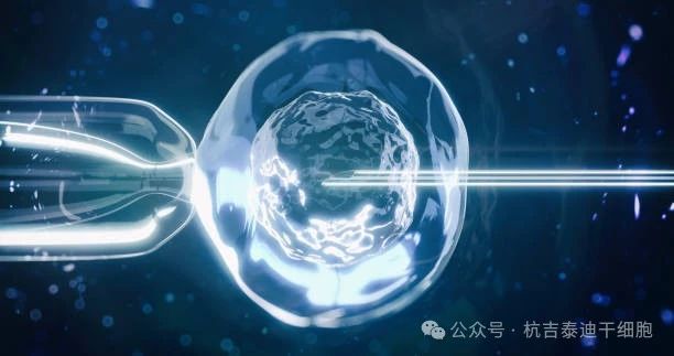 干細胞療法如何減緩肺部疾病的癥狀? 干細胞療法如何減緩肺部疾病的癥狀?