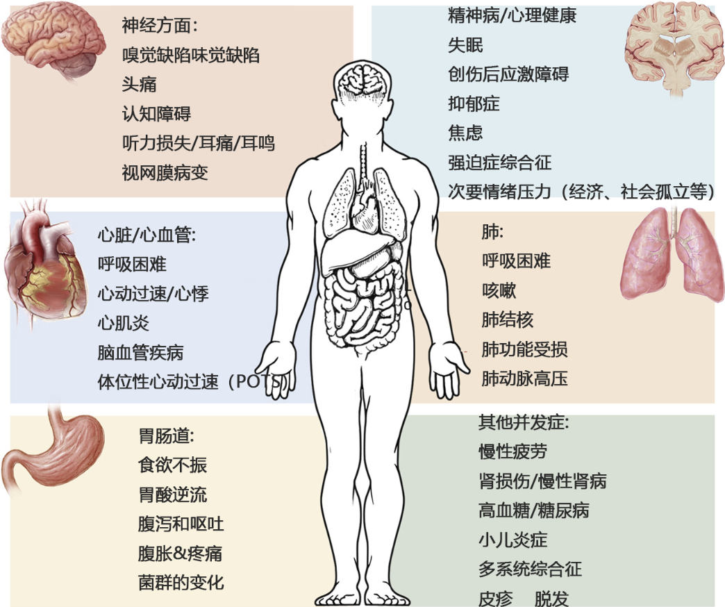間充質(zhì)干細胞可改善多種新冠后遺癥 間充質(zhì)干細胞可改善多種新冠后遺癥