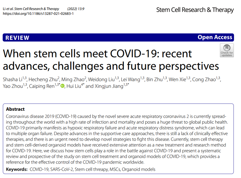 干細胞如何應對COVID-19:近期進展、挑戰(zhàn)和未來展望 干細胞如何應對COVID-19:近期進展、挑戰(zhàn)和未來展望