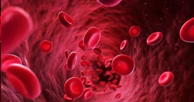 我國(guó)干細(xì)胞療法未來(lái)可期 我國(guó)干細(xì)胞療法未來(lái)可期