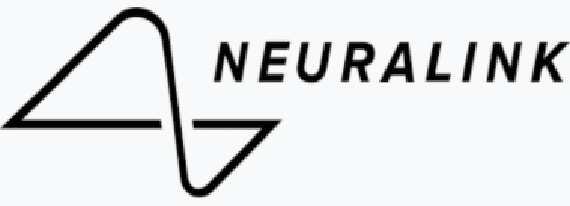 神經(jīng)鏈接 神經(jīng)鏈接