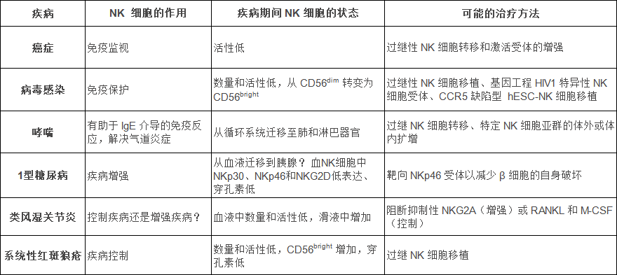 NK細胞：在抗擊不同疾病中發揮的作用！