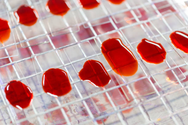 可以用臍帶血干細胞可以治療哪些疾病？