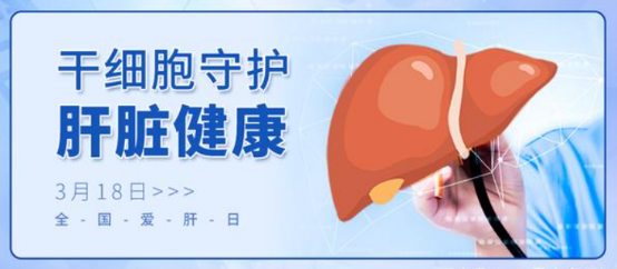 3.18全國愛肝日 | 讓干細(xì)胞療法守護(hù)您的肝臟健康