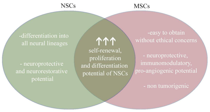 圖4:將神經干細胞和間充質干細胞的治療益處相結合,為治療提供了新的視角。 圖4:將神經干細胞和間充質干細胞的治療益處相結合,為治療提供了新的視角。