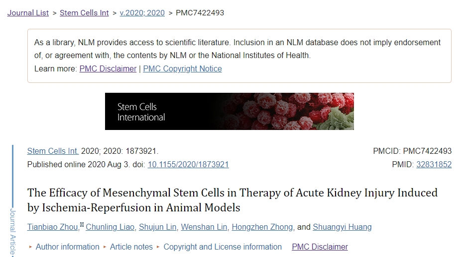 間充質(zhì)干細(xì)胞在動(dòng)物模型中治療急性腎缺血再灌注損傷的療效